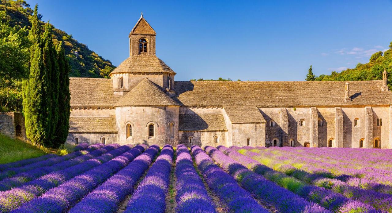 Apartamento Provence Now Cabrières-dʼAvignon Exterior foto