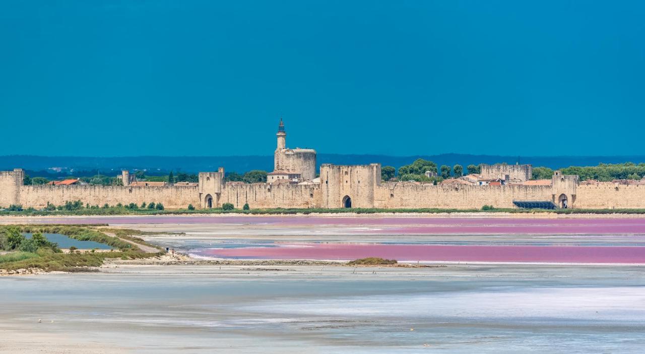 Apartamento Provence Now Cabrières-dʼAvignon Exterior foto